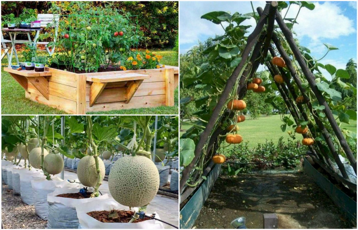 13 доступных идей по созданию высоких грядок, которые украсят сад или огород - Архитектура и интерьер
