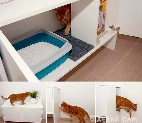 Как оборудовать место для кота - «Дом и быт»