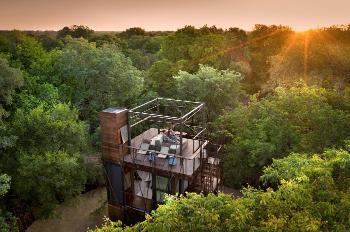 В заповеднике ЮАР можно отдохнуть в домике на дереве в окружении ...львов, тигров и носорогов - Архитектура и интерьер