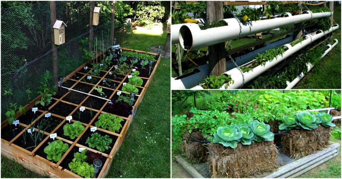 14 примеров грядок, которые сделают огород красивым и ухоженным - Архитектура и интерьер