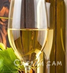 Способ приготовления домашних плодовоягодных вин - «Рецепты Советы»