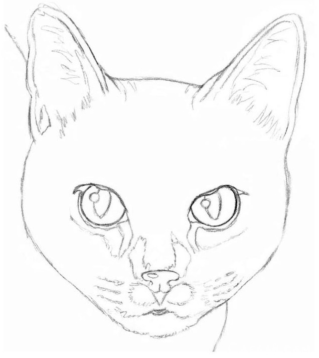 Как нарисовать кошку карандашом? - «Сувениры и подарки»