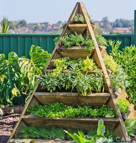 Как создать многоярусную клумбу на садовом участке? - «Сад и огород»