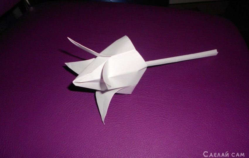 Тюльпан из бумаги своими руками. - «Оригами - Из бумаги»