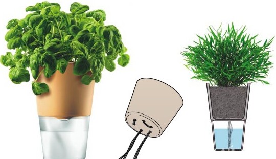 Автоматический полив комнатных растений - «Советы Хозяйке»