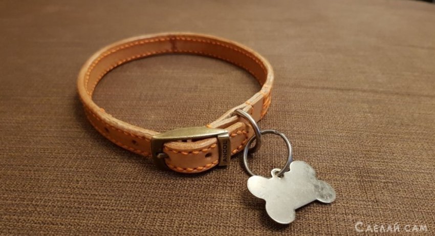 Кожаный ошейник для собаки своими руками - «Сувениры и подарки»