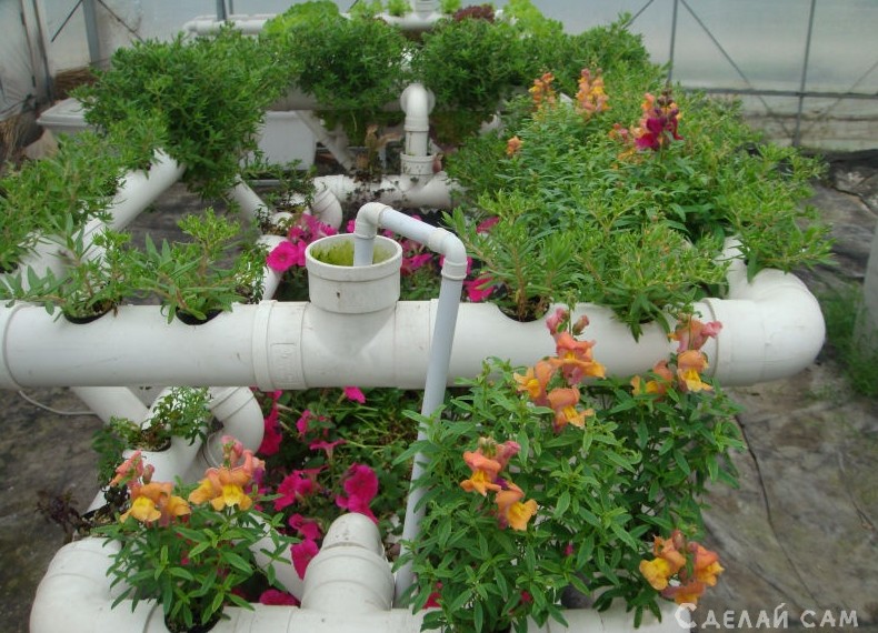 Выращивание растений на грядках из пластиковых труб - «Сад и огород»