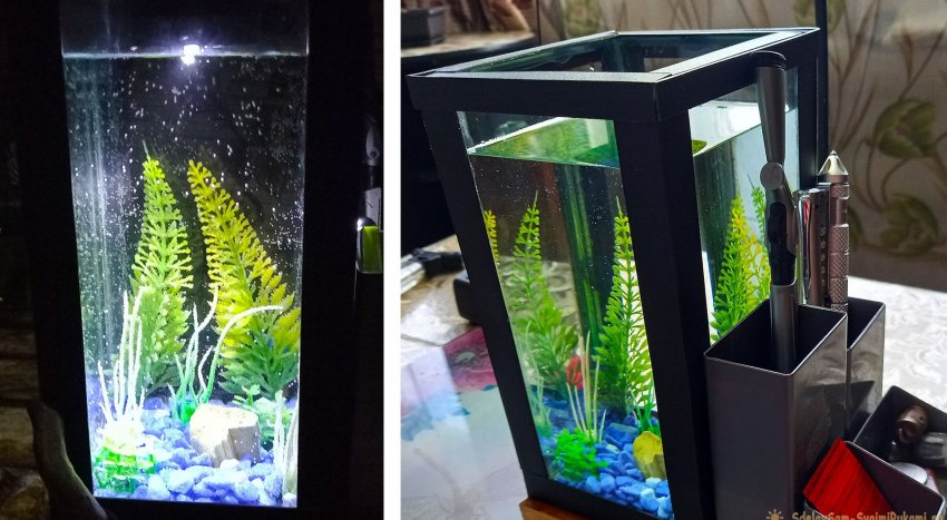 Как сделать настольный аквариум-органайзер с подсветкой - «Сделай сам»