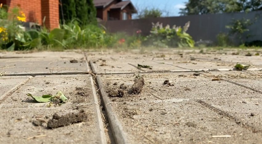 Как в два счета избавиться от травы в стыках плит на дорожках - «Сделай сам»