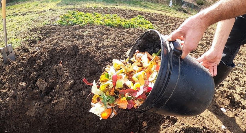 Зачем опытные огородники закапывают кухонные отходы? - «Сделай сам»