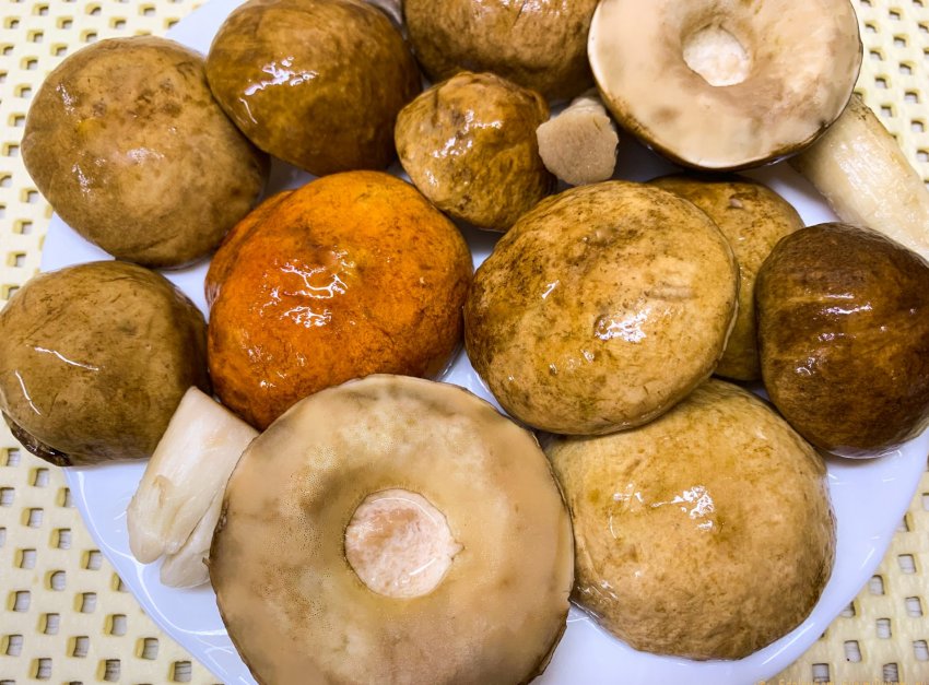 Как вкусно пожарить белые грибы на сковороде - «Сделай сам»