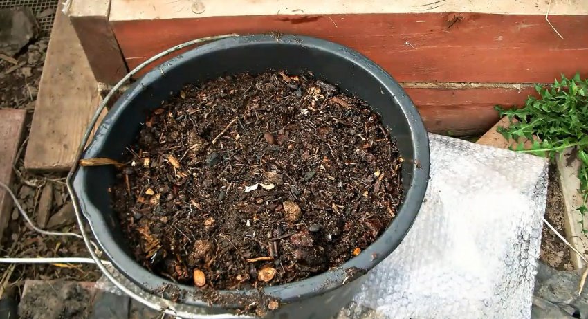 Как сажать картофель в ящики и собирать по ведру с куста - «Сделай сам»