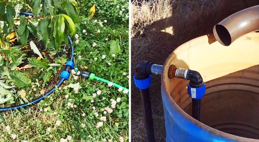Как сделать автоматический полив дождевой водой без насосов и электричества - «Сделай сам»