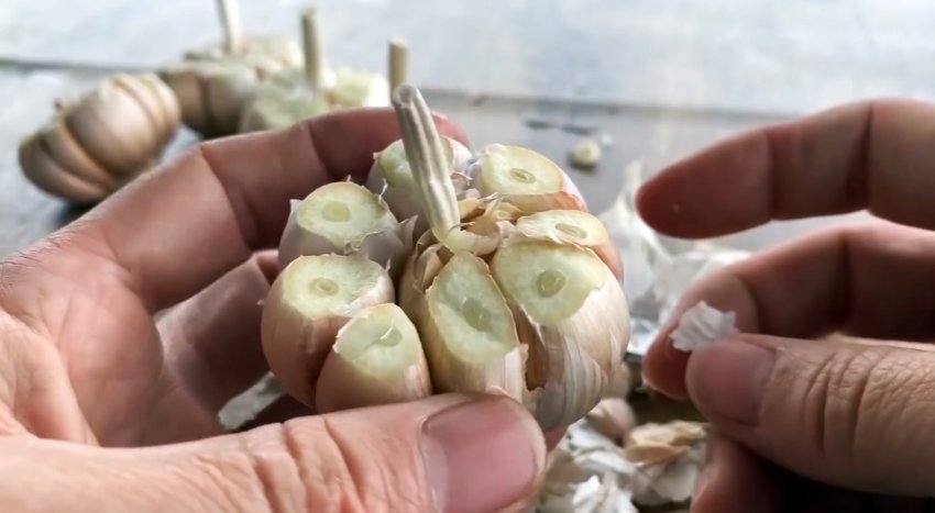 Как быстро и легко укоренить чеснок при помощи ПЭТ бутылки - «Сделай сам»