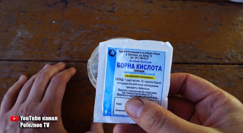 Простое и эффективное средство поможет избавиться от надоедливых муравьев - «Сделай сам»